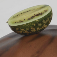 Huile de graines de melon du Kalahari : le secret de beauté africain pour une peau nourrie et protégée