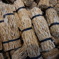 Khamaré : La racine d’or de l’Afrique de l’Ouest pour une beauté intérieure et extérieure