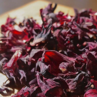 Hibiscus : le secret de beauté africain pour une peau éclatante